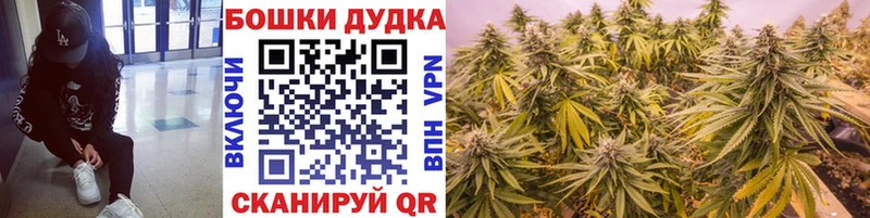 Конопля планчик  где продают наркотики  Надым 